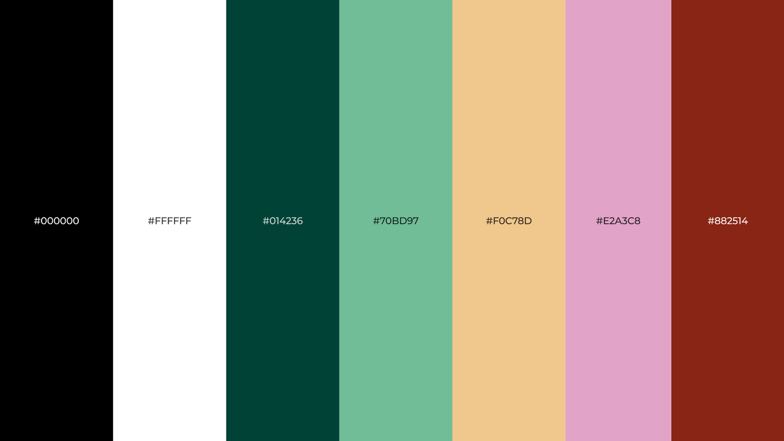 Palette de couleurs suite