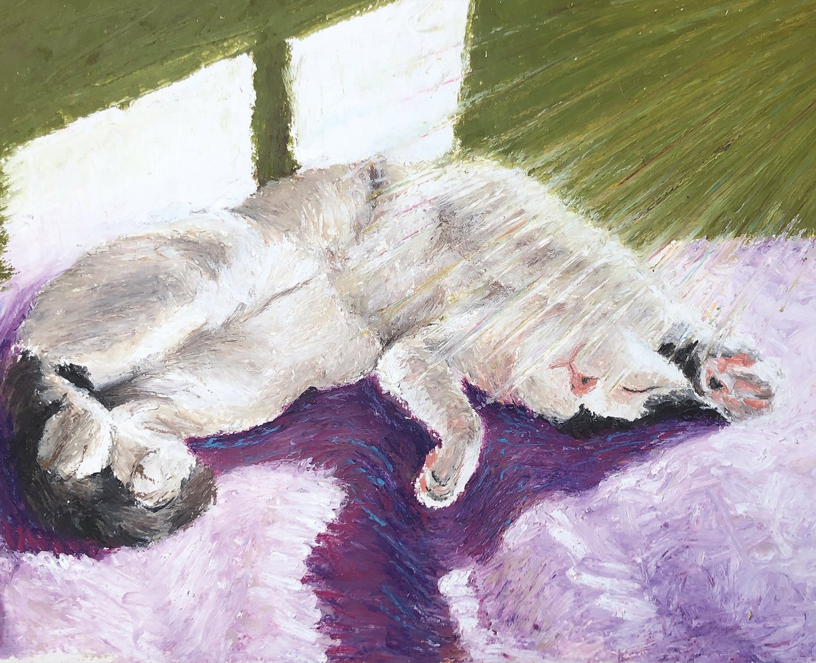 Light study — Jour