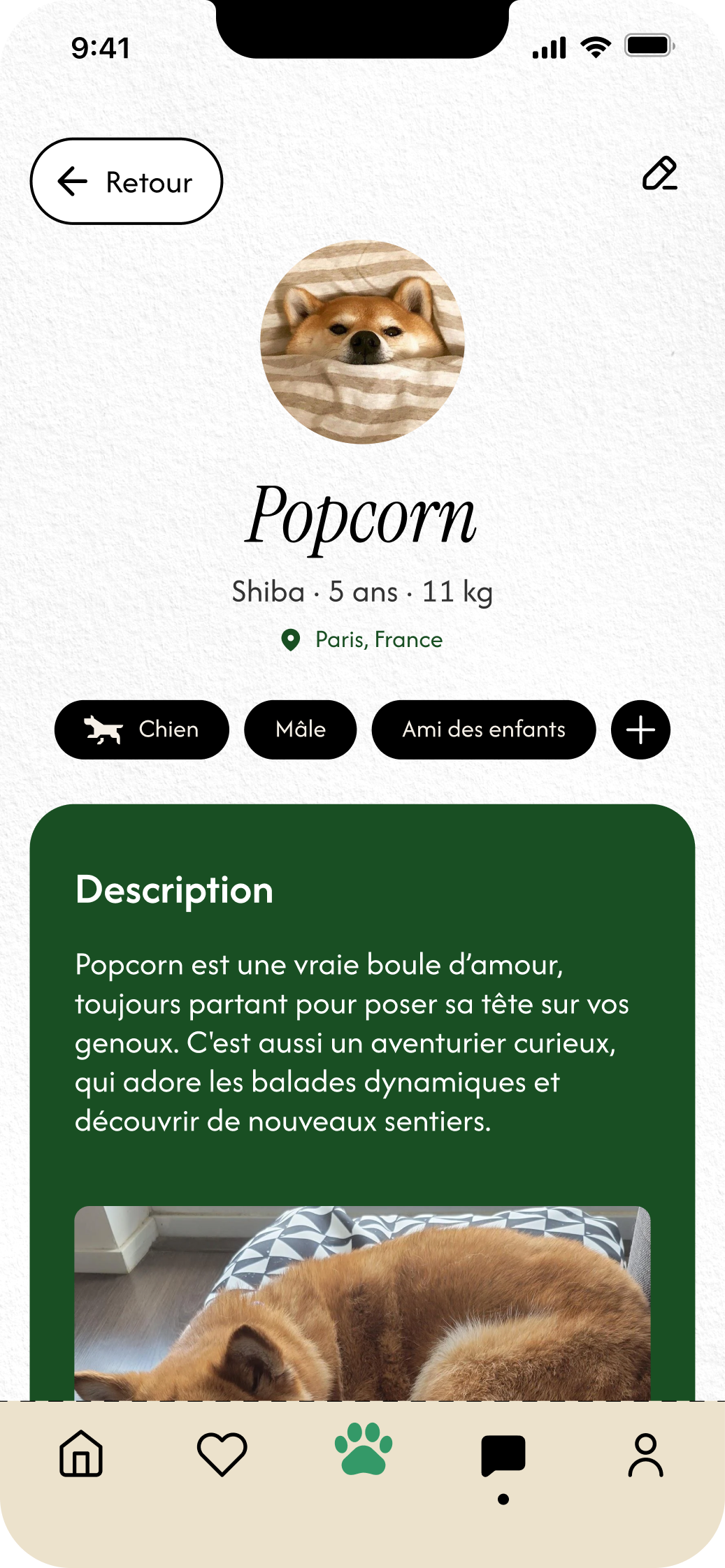 Fiche animal 2