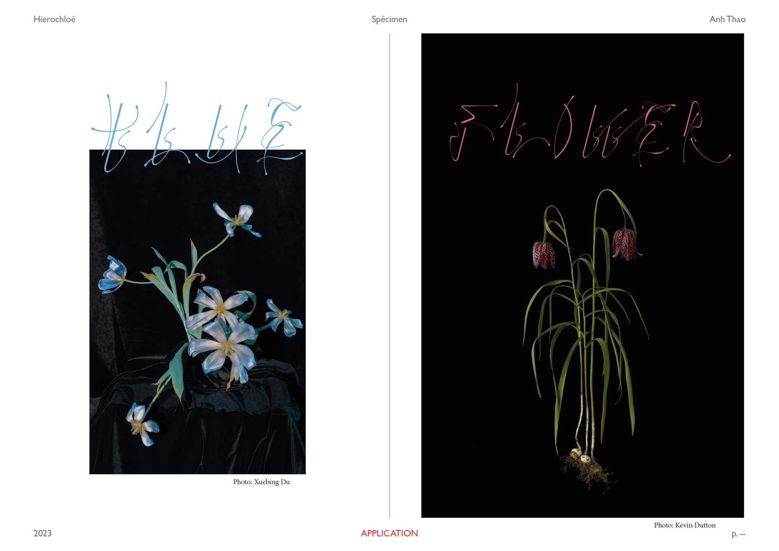Typographie modulaire — specimen 8